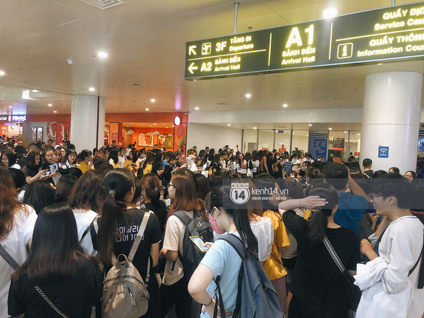 Tài tử Ji Chang Wook và Suju đã có mặt ở sân bay Nội Bài: Điển trai cực phẩm, nhìn biển fan Việt đến đón mà chóng mặt - Ảnh 17.